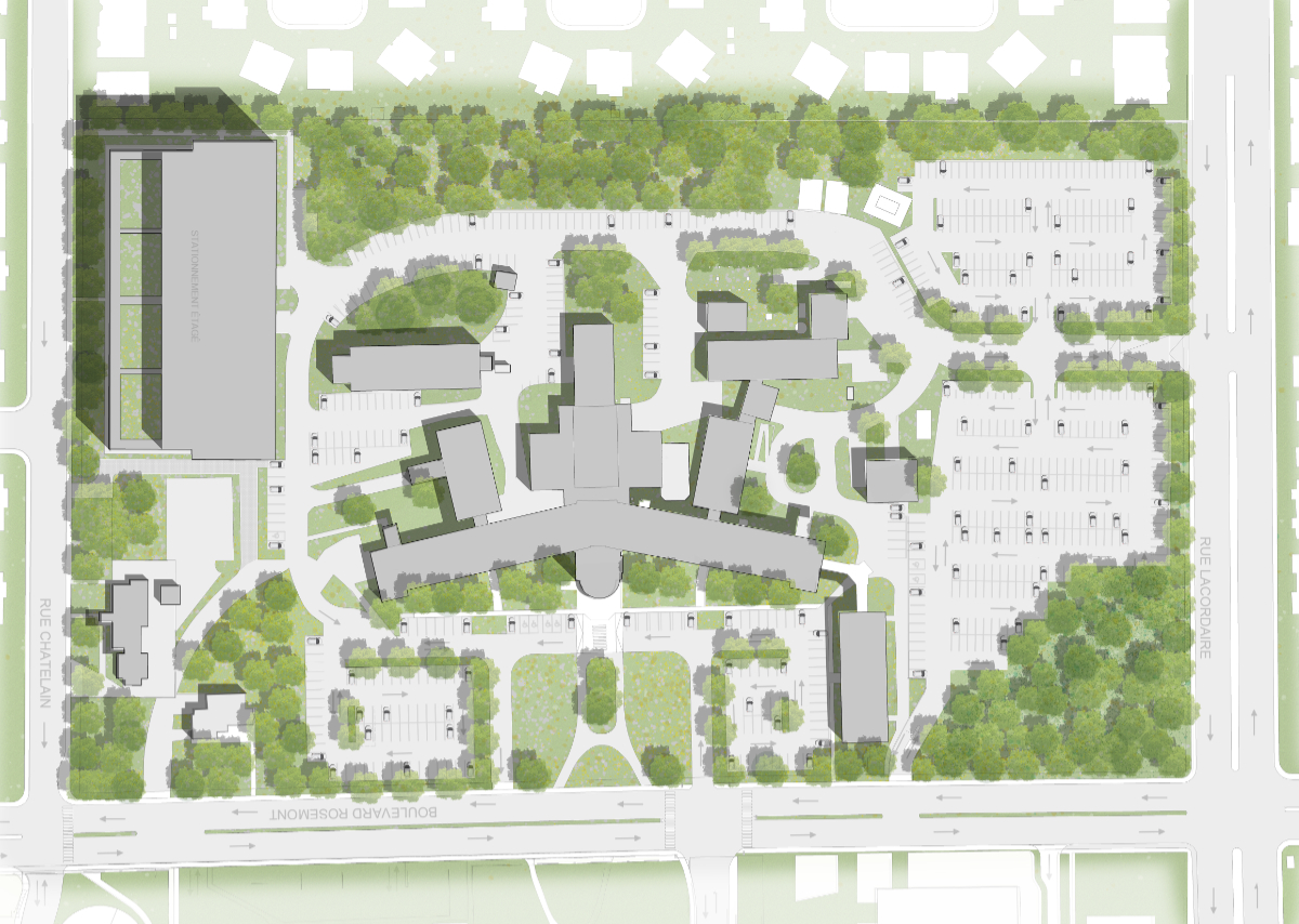 Aménagement et transplantation des arbres autour du futur stationnement étagé.